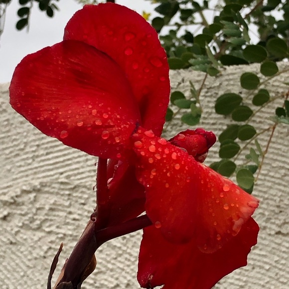 Meet your Posher, Linda - Picture 1 of 1